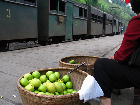 Fruit Stand on the Rail Station